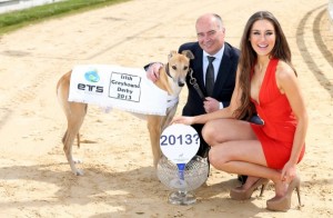 irish-greyhound-derby-2013-shelbourne-park-dublin